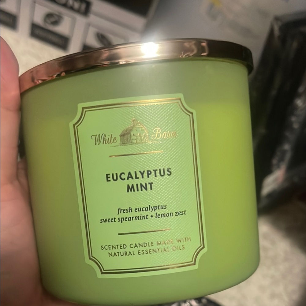 White Barn Eucalyptus Mint Scented Candle - Green